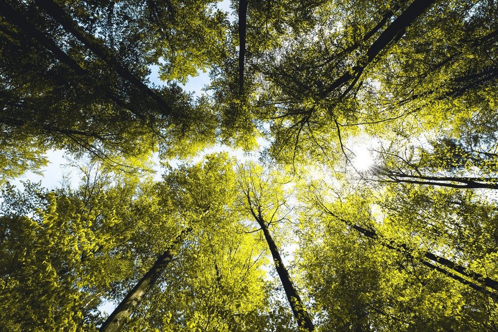 iStock 1317323736 72dpi 2