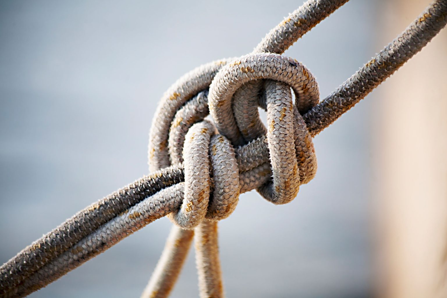 iStock 533833695